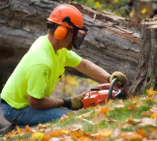 tree services Blanchard